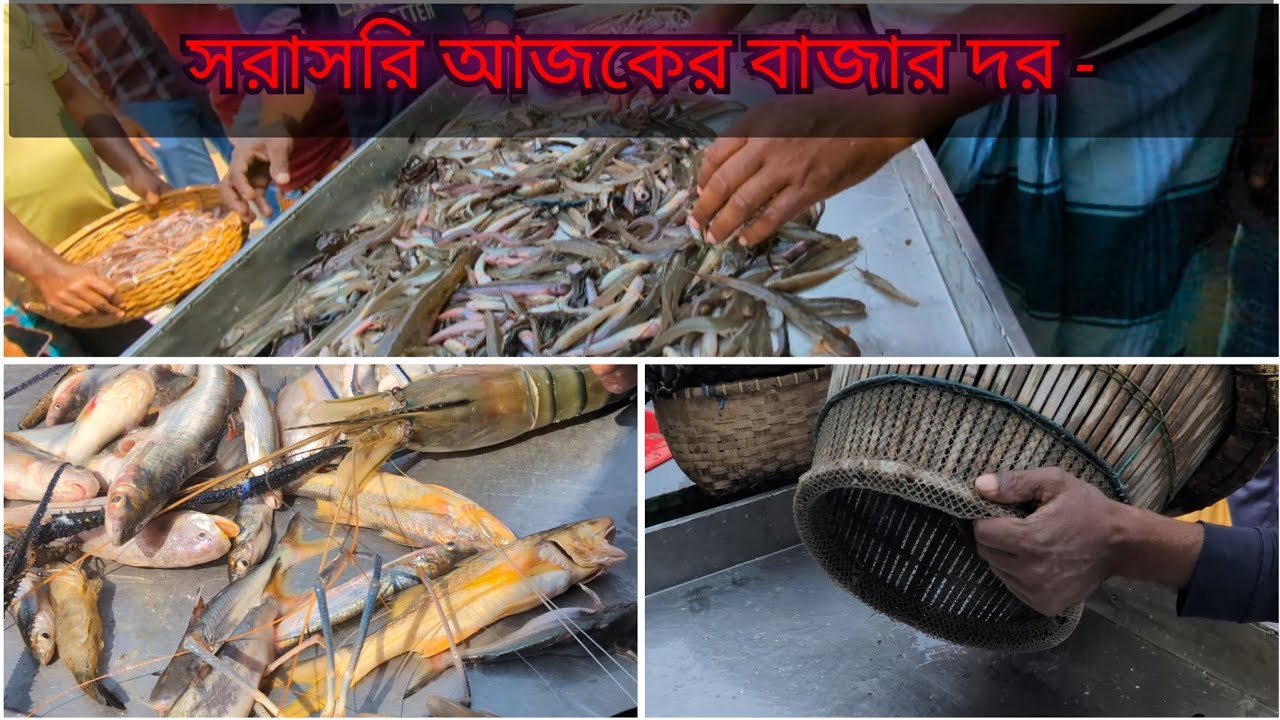 নদীর টাটকা ৫ মিশালি মাছের জমজমাট নিলাম | River Fish Auction in Bangladesh 2026 #Fish_Auction #river