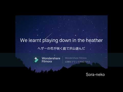 【日本語翻訳】Tranquility - SawanoHiroyuki[nZk] Anly -