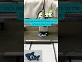 3D Printing a Shark Classroom Tracker | Ocean Collection