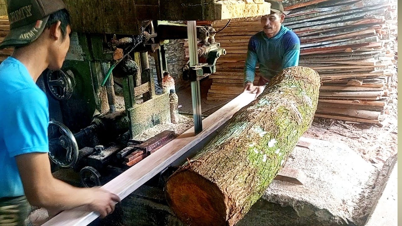 solid wood cutting machine with a satisfying greenish color, sawmill ...