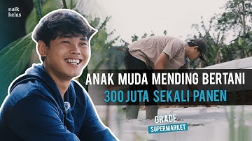 Pengusaha Muda 21 Tahun, Sukses Hasilkan RATUSAN JUTA Dari Bertani Cabe