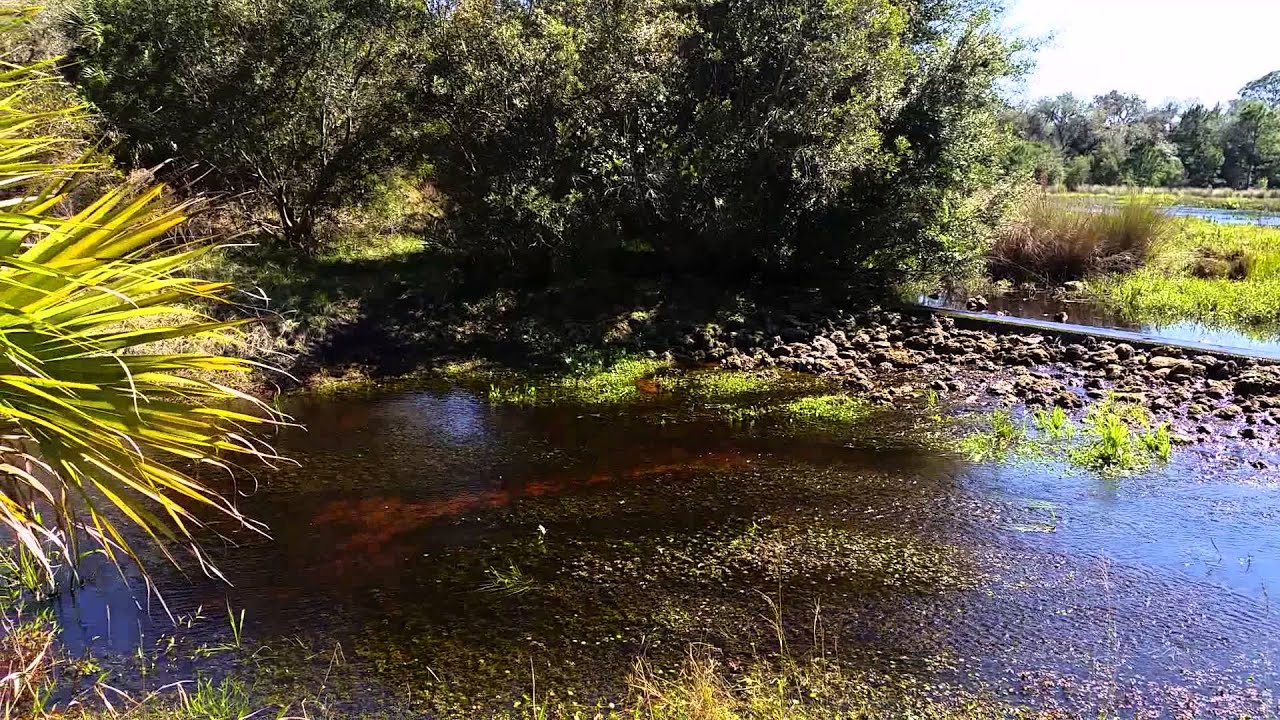 Lake spilling into a stream in at Hi Hat Ranch