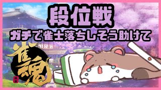 オコジョの成り上がり6　#雀魂　#段位戦