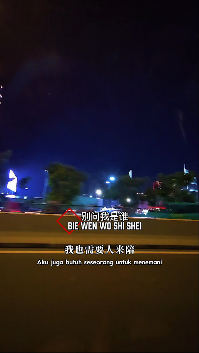 别问我是谁 Bie Wen Wo Shi Shei ( Jangan tanya siapa aku ) #别问我是谁 #lyrics #mandarinsong #music