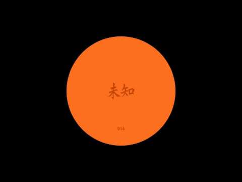 Unknown - Birds Of Koguchi [WZ016]