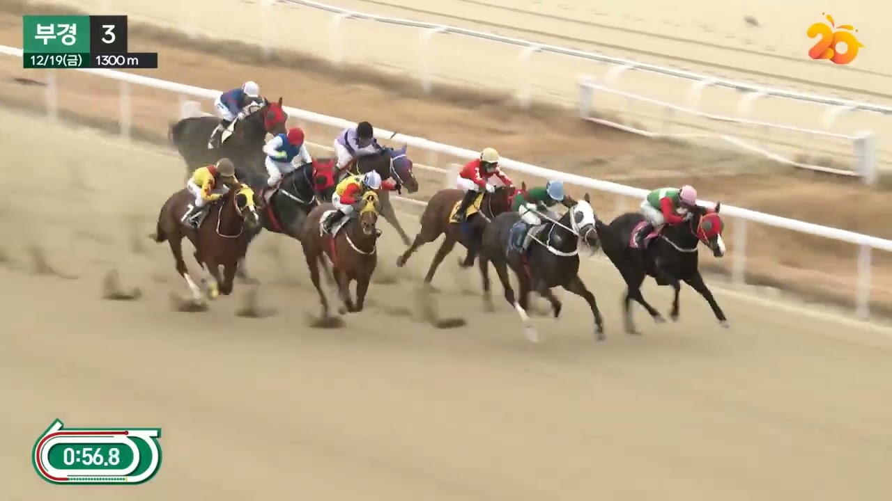 부경 꼬마 남정혁 기수.배당으로 첫승 신고.단승37.9배.축하.축하.