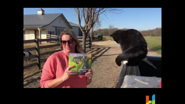 Focus on the Author: Amy Nystrom!