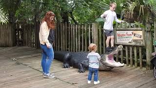 St Augustine Alligator Farm