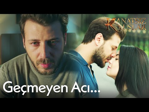 Onur, Zeynep'i unutamıyor! - Kanatsız Kuşlar🕊🕊