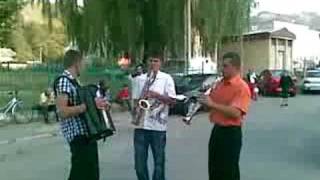 acordeon bogdan,ghita si petrisor