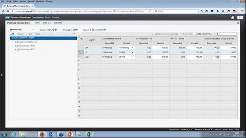 SAP BPC - Consolidation of financial statements with SAP Business Planning and Consolidation