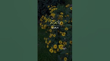 اكتب شيئا تؤجر عليه ❤️ 🖍 #تلاوة_خاشعة #القران_الكريم #ياسر_الدوسري #المصحف