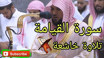 سورة القيامة تلاوة خاشعة ومميزة وستشعرك بالراحة