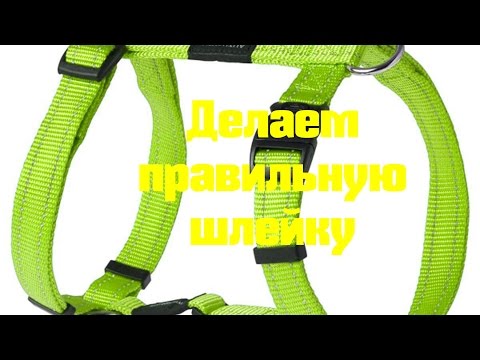 Как сделать правильную шлейку для собаки!