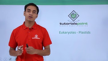 Class 11th - Eukaryotes – Plastids | Cell: The unit of Life | Tutorials Point