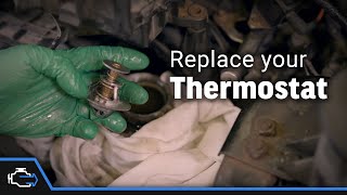 Thermostat – 2004-2008 5.4L Ford F-150 by BlueDriver 98,853 views 3 years ago 12 minutes, 40 seconds