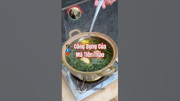 Bạn đã biết công dụng của Mã Tiên Thảo chưa?