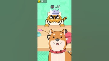 Hide and Seek: Cat Escape! 👀🐱217 Endless Mode Gameplay Walkthrough | Best Android, iOS Games