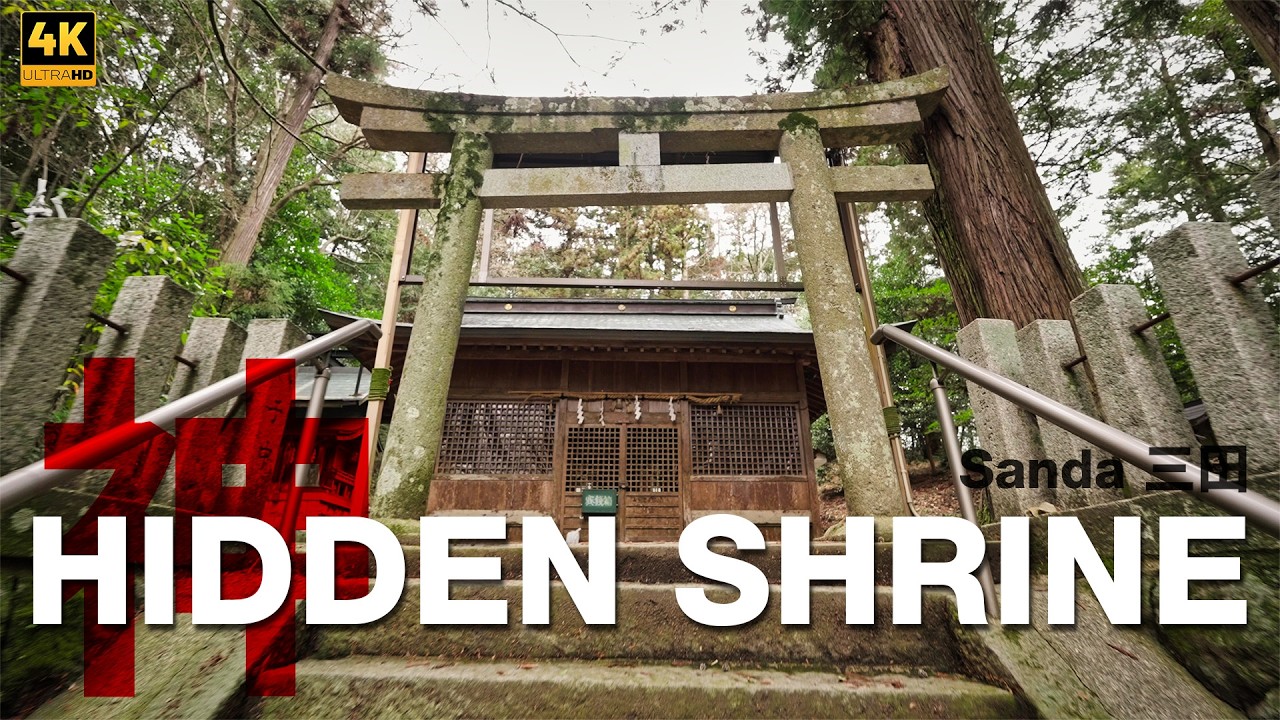 Hidden Kumano Shrine in Sanda, Japan — Quiet Forest Shrine Walk | POV 4K