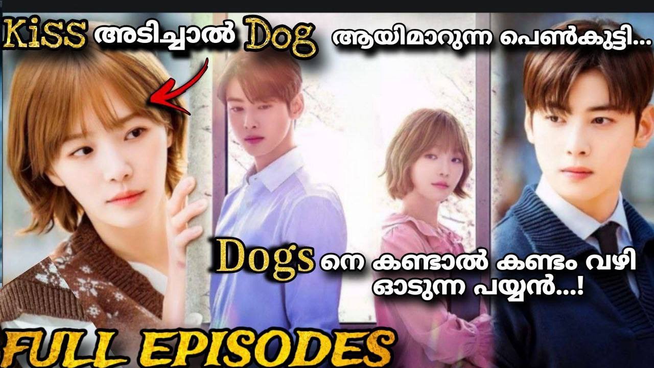 A good day to be a dog Full episodes Malayalam explanation  Fantasy drama Single watch