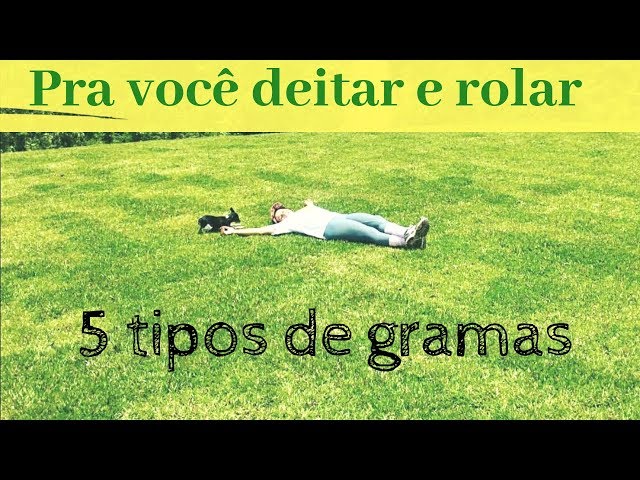 TOP 5 DESIGN: O tipo Grama é sempre o mais verde!