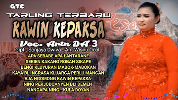 KAWIN KEPAKSA - ARIN DA