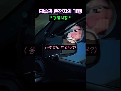 경찰 놀리는 테슬라 운전자 결말 thumbnail