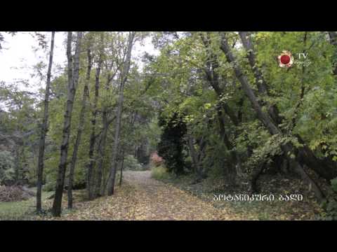 4 8 ბოტანიკურის 2