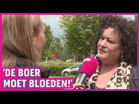 Kabinet sloopt boeren om stikstof; boeren woedend