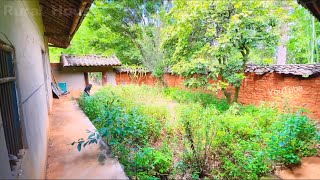 Army retired man buys an abandoned house and restores it into a beautiful garden courtyard