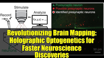 Revolutionizing Brain Mapping: Holographic Optogenetics for Faster Neuroscience Discoveries