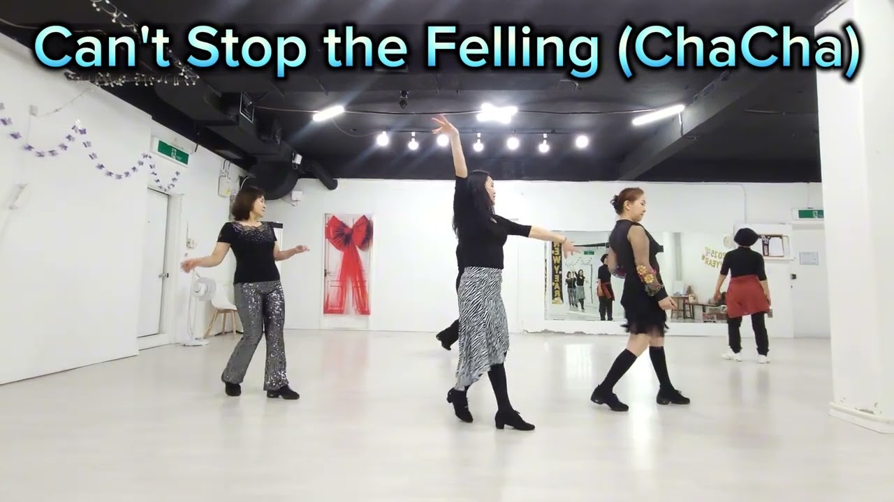Can't Stop the Felling (ChaCha)Linedance/초급차차/수원라인댄스/라인나우라인댄스 /차차차를 즐겨요❤️