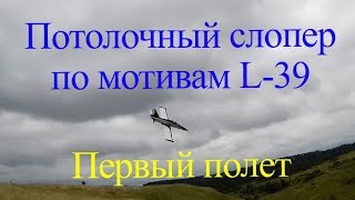 Первый полет слопера по мотивам L-39