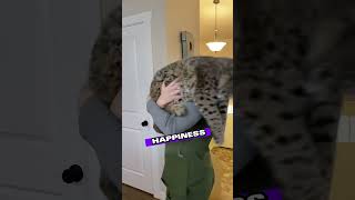 The Lynx Looked At Her With Eyes Full Of Graude