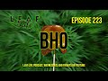 BHO - Leaf Life 223 - Part 1