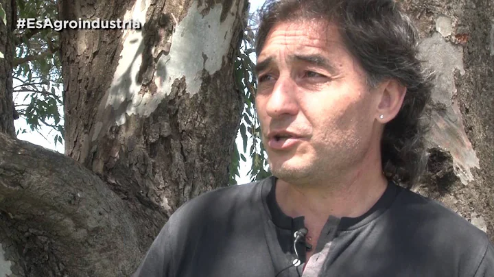 Gabriel Messina, de tcnico urbano a emprendedor de...