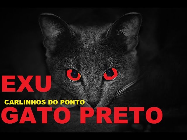 GATO PRETO E.C