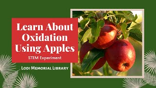 STEM Experiment - Oxidation