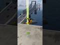 Spider Fighter Mobile Game Action Gameplay 😱 Epic Fight fan made ☠️