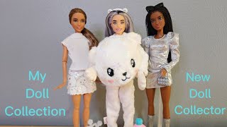 💙  My Doll Collection as a New Doll Collector! Rainbow High || Barbie || LOL OMG || Naturalistas