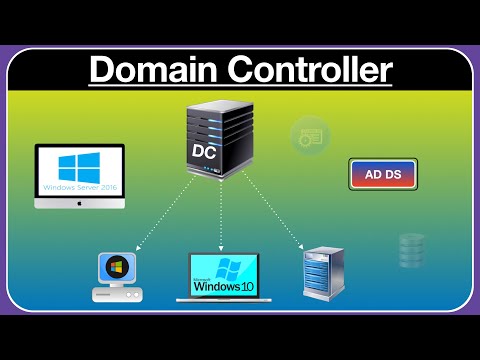 Video: Kas yra tinklo domeno valdiklis?