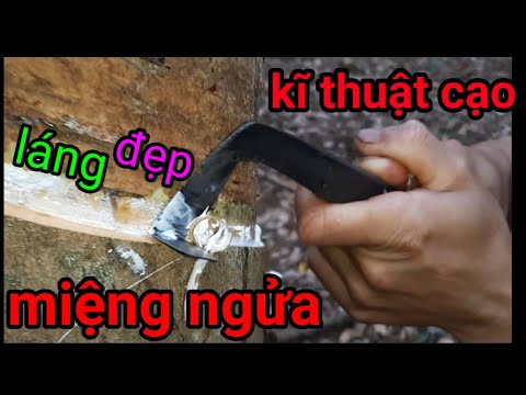 Video: Cách ngâm ngón chân mọc ngược: 10 bước