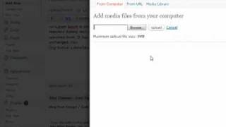 Phenomenon Wordpress Theme - Creating Slider Items & The Login Module