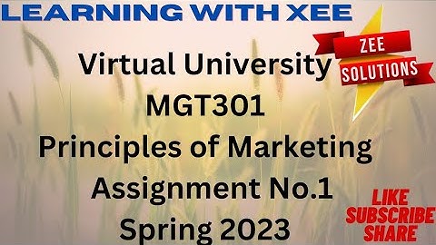 MGT301 Assignment 1 spring 2023 virtual University of pakistan