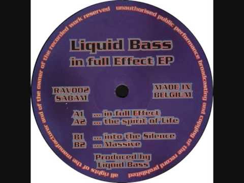 Liquid Bass - Into the Silence