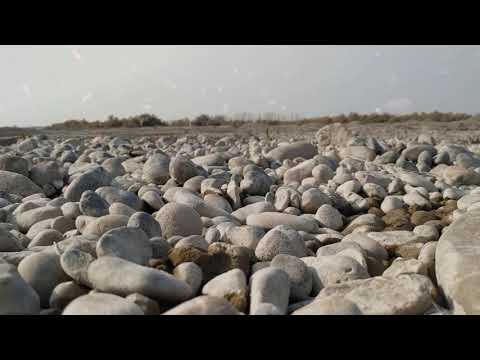 Video: Nega tushida toshqinni orzu qilasiz