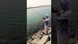 صيد كنعد ضيراك كاستنق ٤
Mackerel kingfish