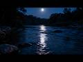 ASMR Relaxing River for Sleep 🌊 Pure Water Flow – No Birds, No Music