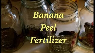 🍌 Banana Peel Fertilizer 🍌