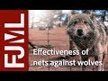 Wolves and fences - Loups et filets